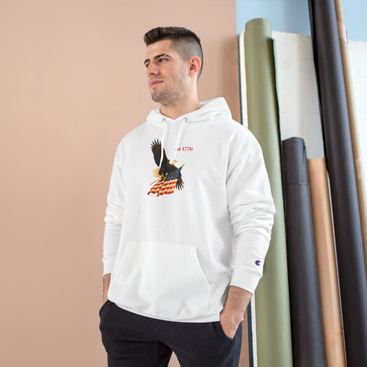 Patriotic Eagle Hoodie, Champion Hoodie, USA Flag Sweatshirt, American Pride Apparel, Gifts for Veterans, Fourth of July Clothing